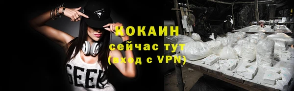 крисы Гусев