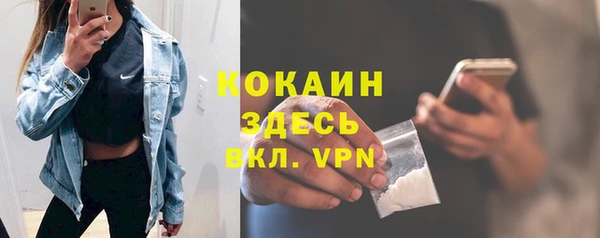 прущий лед Алзамай