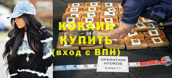 прущий лед Алзамай