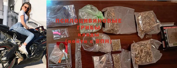 PSILOCYBIN Алексин
