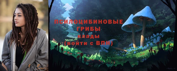 прущий лед Алзамай
