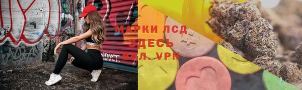 PSILOCYBIN Алексин