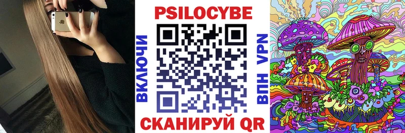 Галлюциногенные грибы Psilocybe  Медынь 